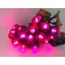 Jogo Cacho de Uva LED 20 Lâmpadas à Pilha Roxo Decor Mesa Natal 2 Unidades - Magizi - 2