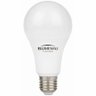 Kit 10 Lâmpada LED 9W Bulbo E27 6500K Branco Frio Blumenau - 2