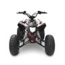 Mini Quadriciclo Infantil - Partida Elétrica - Brave 125cc - Preto - MXF Motors - 2
