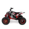 Mini Quadriciclo Infantil - Partida Elétrica - Brave 125cc - Preto - MXF Motors - 1