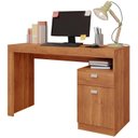 Ver imagem 2 de Escrivaninha Mesa Escritório Melissa 1 Gaveta 1 Porta 120cm Cinamomo Marrom