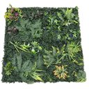Ver imagem 1 de Painel Jardim Vertical Kit com 4 Modulos de 50x50cm - F5103g