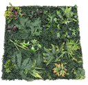 Ver imagem 1 de Painel Jardim Vertical Kit com 4 Modulos de 50x50cm - F5103g
