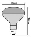 Ver imagem 2 de Lâmpada Secagem Infra 250w 127v E27