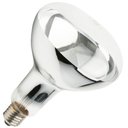 Ver imagem 1 de Lâmpada Secagem Infra 250w 127v E27