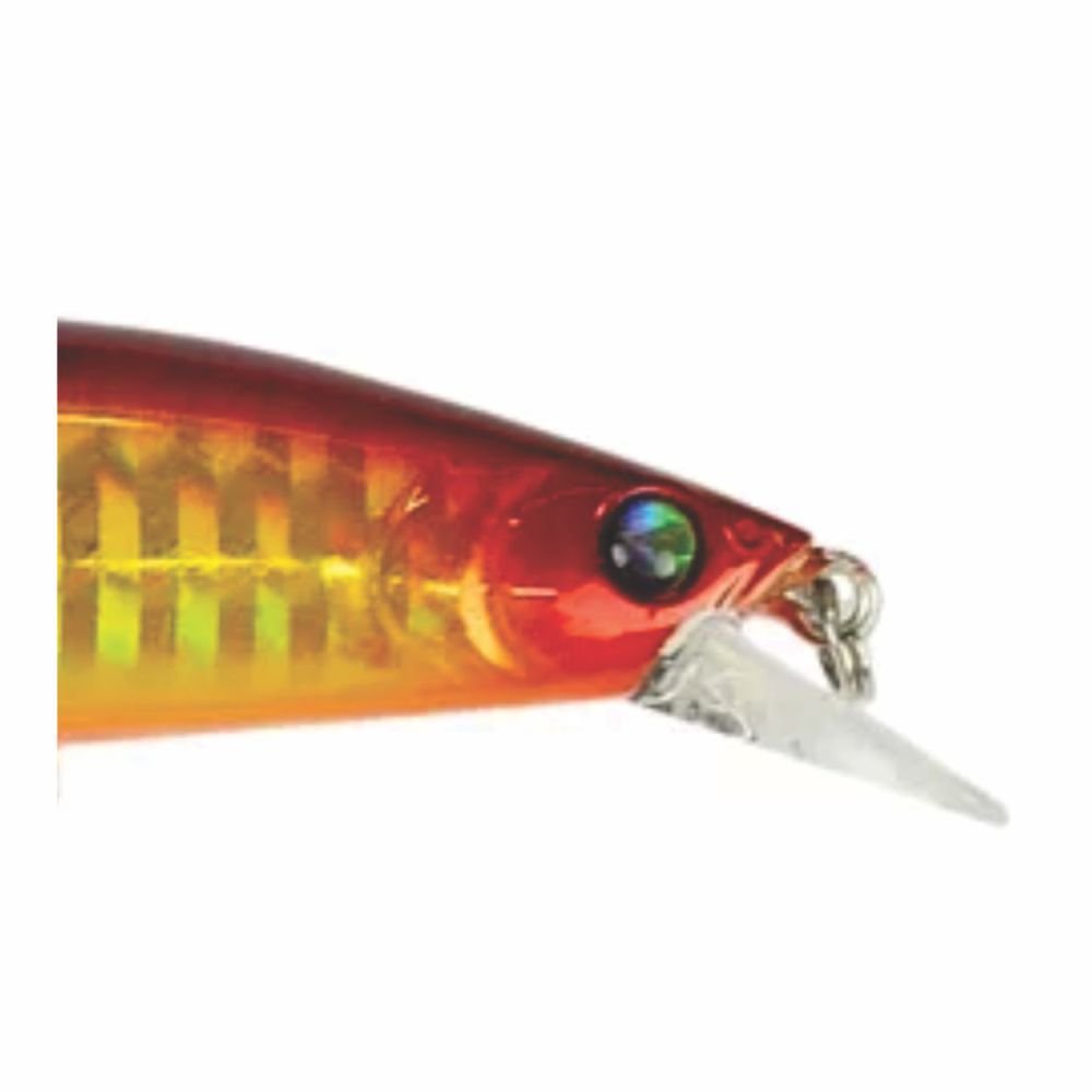 ISCA AICAS BANDIT - AICAS BANDIT COR T05 - 2