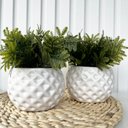 Ver imagem 2 de Dupla Vaso Cachepot Branco em Alto Relevo 3d Decoração Casa