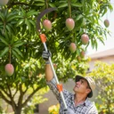 Ver imagem 6 de Cabo Extensor Telescópico 3 Metros Alumínio Poda Pintura - Multiuso