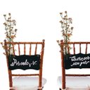 Ver imagem 7 de Kit com 7 Galhos Mosquitinho Artificial Laranja para Arranjos Decorativos