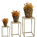 Ver imagem 6 de Kit com 7 Galhos Mosquitinho Artificial Laranja para Arranjos Decorativos