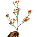 Ver imagem 4 de Kit com 7 Galhos Mosquitinho Artificial Laranja para Arranjos Decorativos