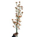 Ver imagem 3 de Kit com 7 Galhos Mosquitinho Artificial Laranja para Arranjos Decorativos