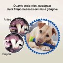 Ver imagem 2 de Brinquedo 3x1 Mordedor Osso Massageador Gengiva Removedor Tártaros Escova de Dente para Cachorro Cão