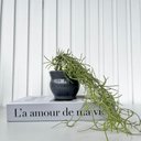 Ver imagem 3 de Decoração Sala Livro Fake + Vaso Cachepô Cinza Cerâmico