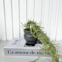 Ver imagem 4 de Decoração Sala Livro Fake + Vaso Cachepô Cinza Cerâmico
