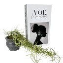 Ver imagem 1 de Decoração Sala Livro Fake + Vaso Cachepô Cinza Cerâmico