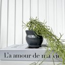 Ver imagem 2 de Decoração Sala Livro Fake + Vaso Cachepô Cinza Cerâmico