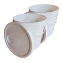 Ver imagem 1 de Balde para Organizar Geladeira 5 Litros 02 Peças