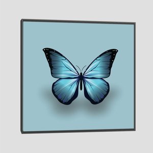 Quadro Borboleta Azul Tela Moldura Preta 40X40Cm