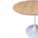 Ver imagem 2 de Mesa de Jantar Tulipa Saarinen Redonda 90 Cm Tampo Jade Linn Design Decor Mesa de Jantar Tulipa Saar
