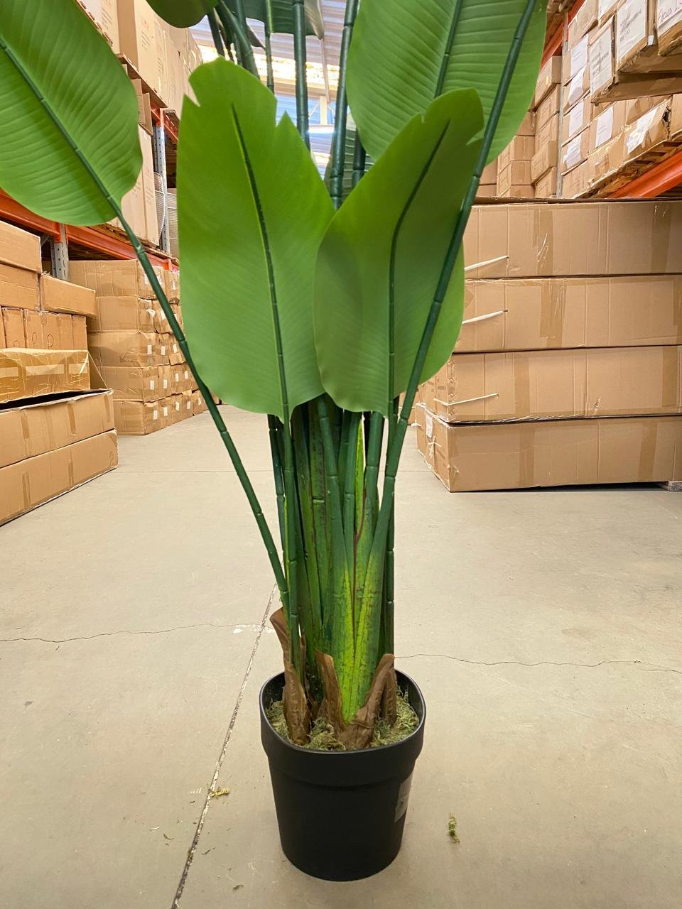 Planta Bananeira Artificial Toque Real Árvore com 1.90m - 6