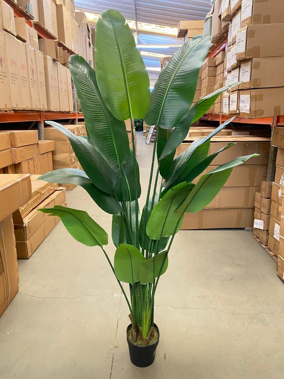 Planta Bananeira Artificial Toque Real Árvore com 1.90m - 7