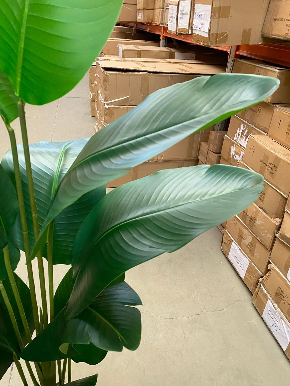 Planta Bananeira Artificial Toque Real Árvore com 1.90m - 5