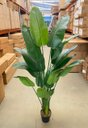 Ver imagem 6 de Planta Bananeira Artificial Toque Real Árvore com 1.90m