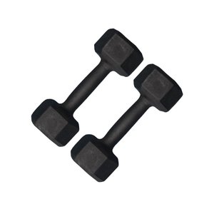 Par de Halter Sextavado Pintado 3kg Academia Treino Fitness