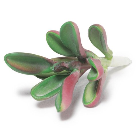 Suculenta Artificial Decorativa 10,5 x 6cm D’Rossi
