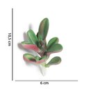 Ver imagem 4 de Suculenta Artificial Decorativa 10,5 x 6cm D’Rossi