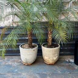 Vaso Decorativo para o Chão 47x50 M - Burj - 5