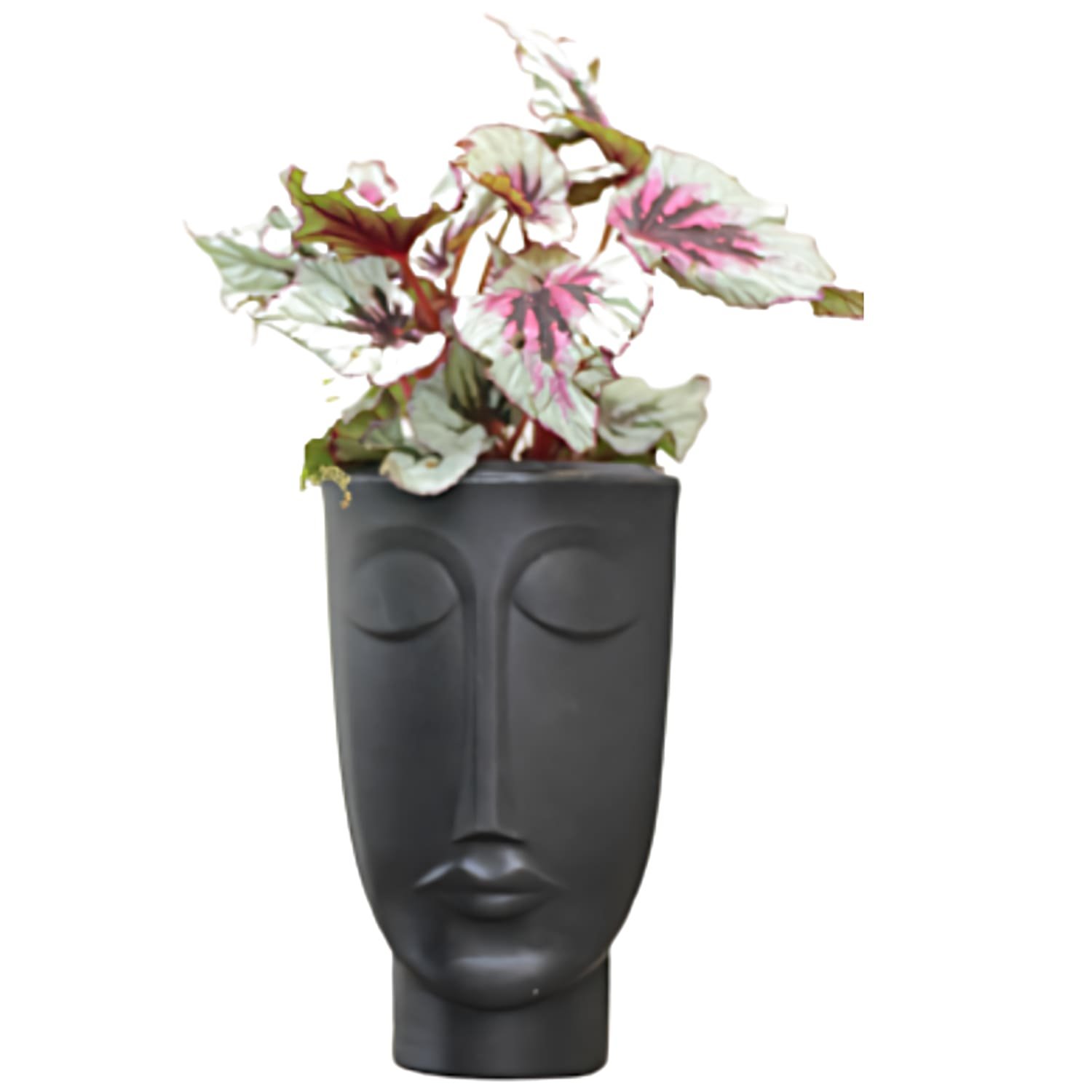 Vaso Decorativo para Flores Face Homem Nutriplan Preto - 3