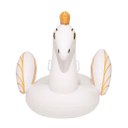 Ver imagem 4 de Boia Pégasus M