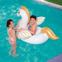 Ver imagem 5 de Boia Pégasus M