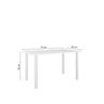 Conjunto Infantil com Mesa 75x50cm com 2 Cadeiras Laura - 3