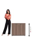 Ver imagem 5 de Armário Baixo para Escritório com 2 Portas Preto/Walnut
