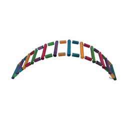 Brinquedo Aves Escada Flexível toca casinha ponte papagaio - 10