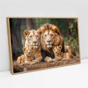 Ver imagem 2 de Quadro Decorativo Retrato Família Leão Leoa com Dois Filhotes Sala Quarto Casa Escritório