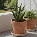Ver imagem 2 de Kit 2 Pratos Médio para Vaso de Flor Granito Areia Polietileno Tramontina Jardim Folhagem