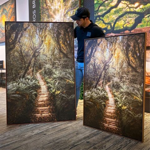 Quadro Paisagem Trilha de Madeira entre a Floresta - 123x83