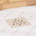 Ver imagem 2 de Ralo Seco Sifonado com Fecho 10x10 Cm