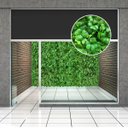 Ver imagem 1 de 13 Quadros Trevo Artificial para Enfeite Interno Prático Realista Sala Quarto Escritório no Ambiente