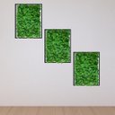 Ver imagem 7 de 13 Quadros Trevo Artificial para Enfeite Interno Prático Realista Sala Quarto Escritório no Ambiente
