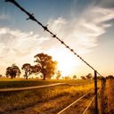 Ver imagem 3 de Arame Farpado Galvanizado Elefante 400kgf 400 Metros Gerdau Farpado Elefante