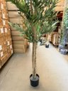 Ver imagem 5 de Oliveira Artificial Realista Árvore Grande com Frutos 210cm, Plantas Artificiais Decoração de Casa.
