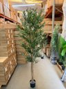 Ver mais imagens de Oliveira Artificial Realista Árvore Grande com Frutos 210cm, Plantas Artificiais Decoração de Casa.