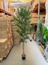 Ver imagem 7 de Oliveira Artificial Realista Árvore Grande com Frutos 210cm, Plantas Artificiais Decoração de Casa.