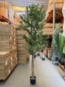 Ver imagem 6 de Oliveira Artificial Realista Árvore Grande com Frutos 210cm, Plantas Artificiais Decoração de Casa.