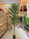 Ver imagem 2 de Oliveira Artificial Realista Árvore Grande com Frutos 210cm, Plantas Artificiais Decoração de Casa.
